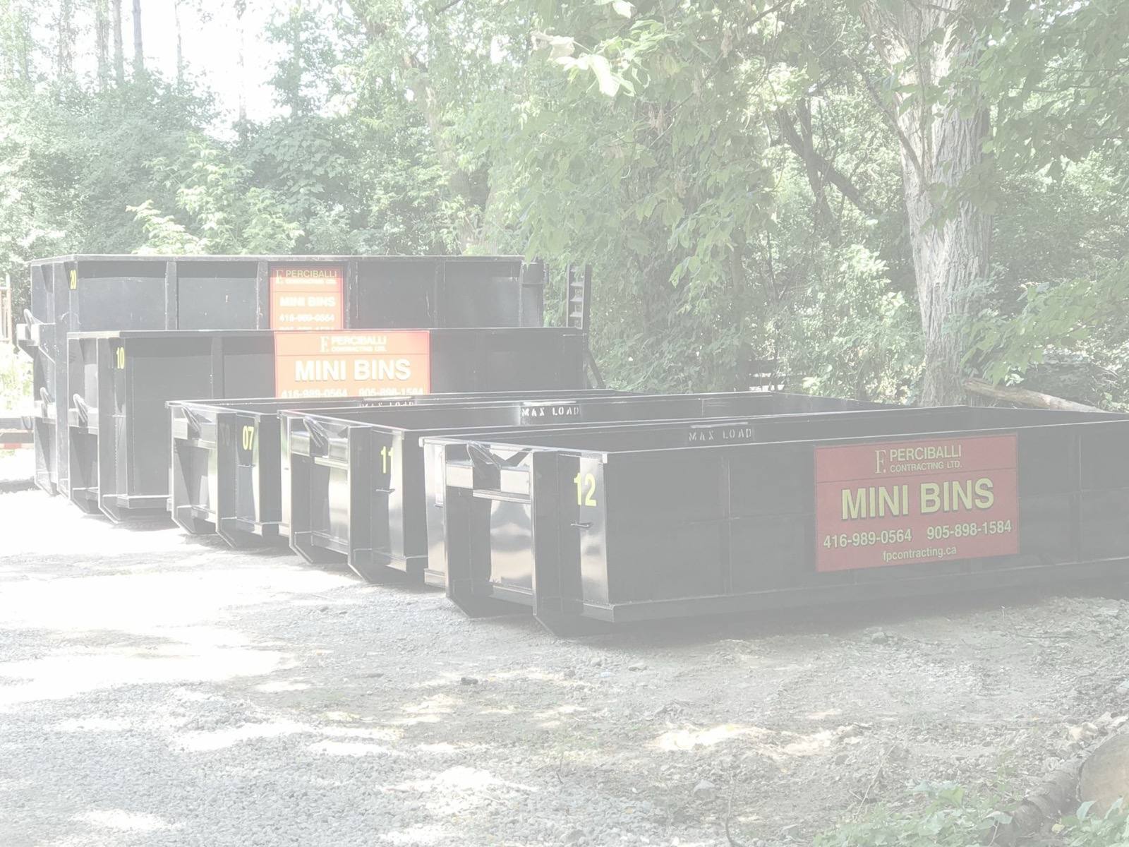 Mini disposal bins parked in a residential driveway